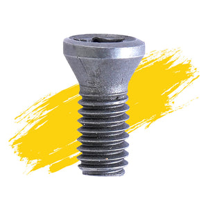 Torx Screws