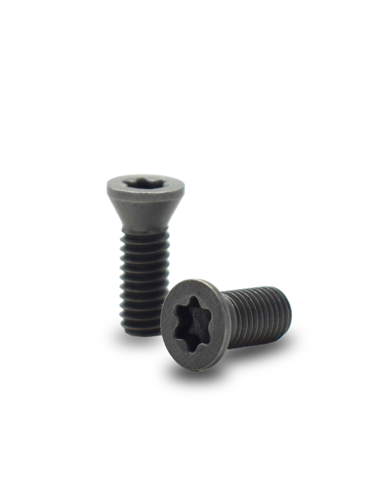 Ultra Precision Screw 4.5mm x 12 mm long Pack of 10 nos.