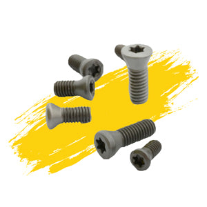 High Precision Screw