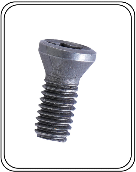 Torx Screw 6 mm T25