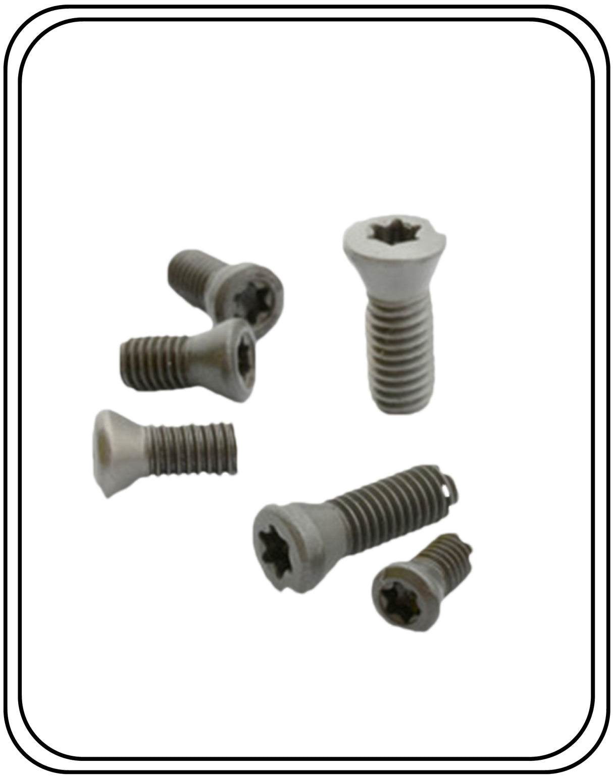 Torx Screw 4 MM T15  High Precision ( Pack Of 10 Pcs ) - Jaibros