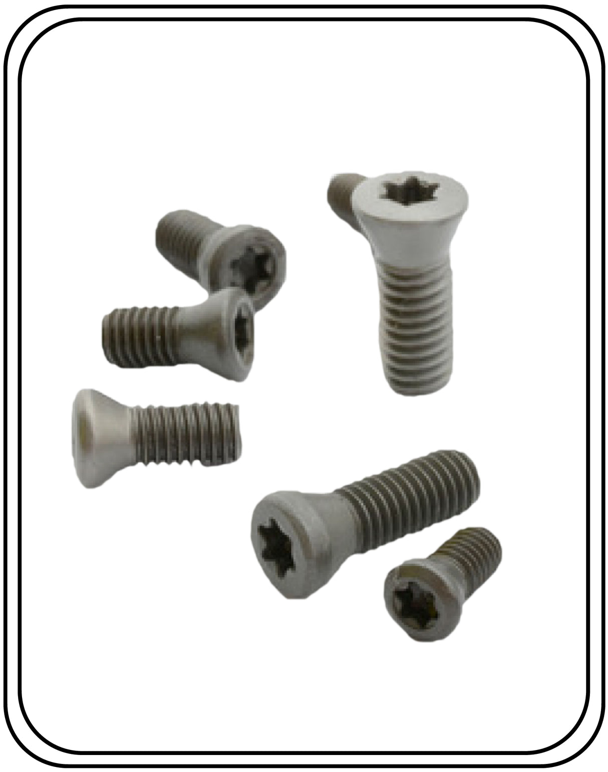 Torx Screw 4 MM T15  High Precision ( Pack Of 10 Pcs ) - Jaibros